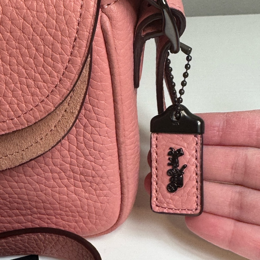 COACH X TABITHA SIMMONS Crossbody 17 Light Blush Pink - Picture 3 of 11